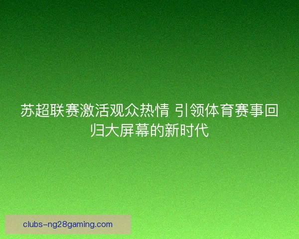 苏超联赛激活观众热情 引领体育赛事回归大屏幕的新时代